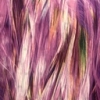 Color: Purple/White Brush