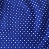 Color: Royal Blue/White Dots