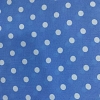 Color: Light Blue/White Dots
