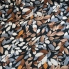 Color: Dark Green/Brown Leaves