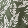 Color: Light Green/White Leaves