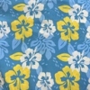 Color: Light Blue/Yellow Hawaian Flowers C