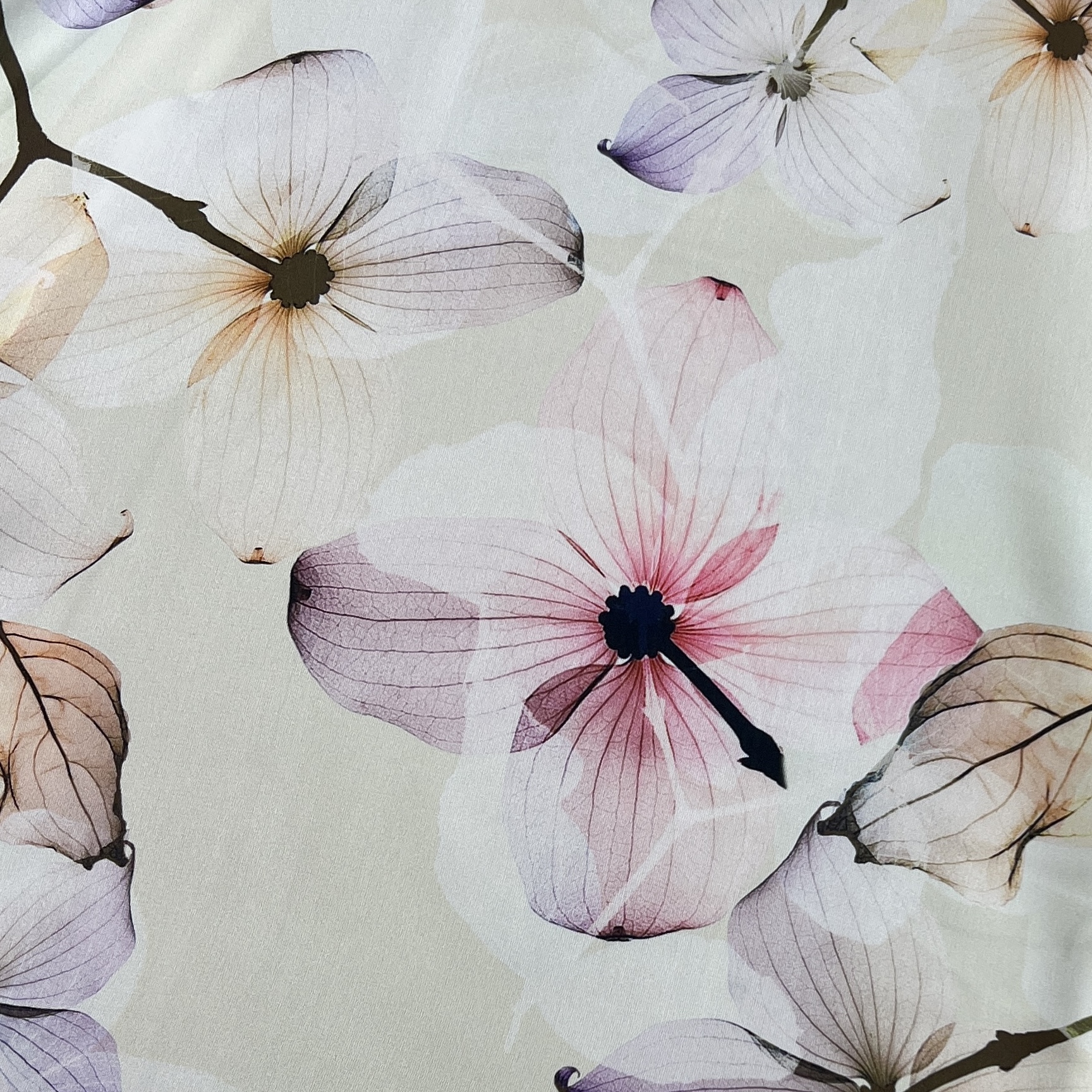 Color: White/Light Pink Flowers