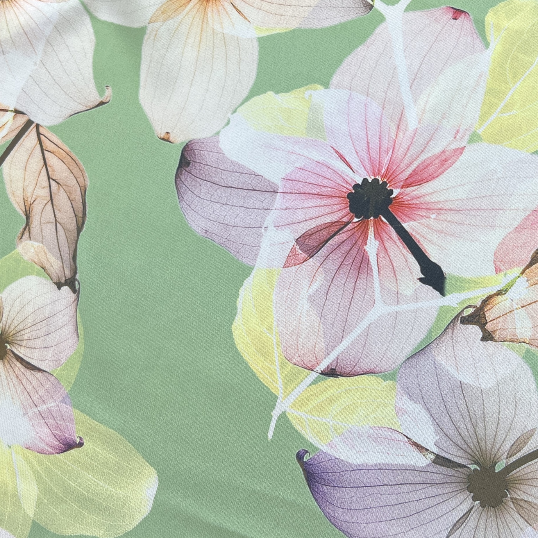 Color: Light Green/Light Pink Flowers