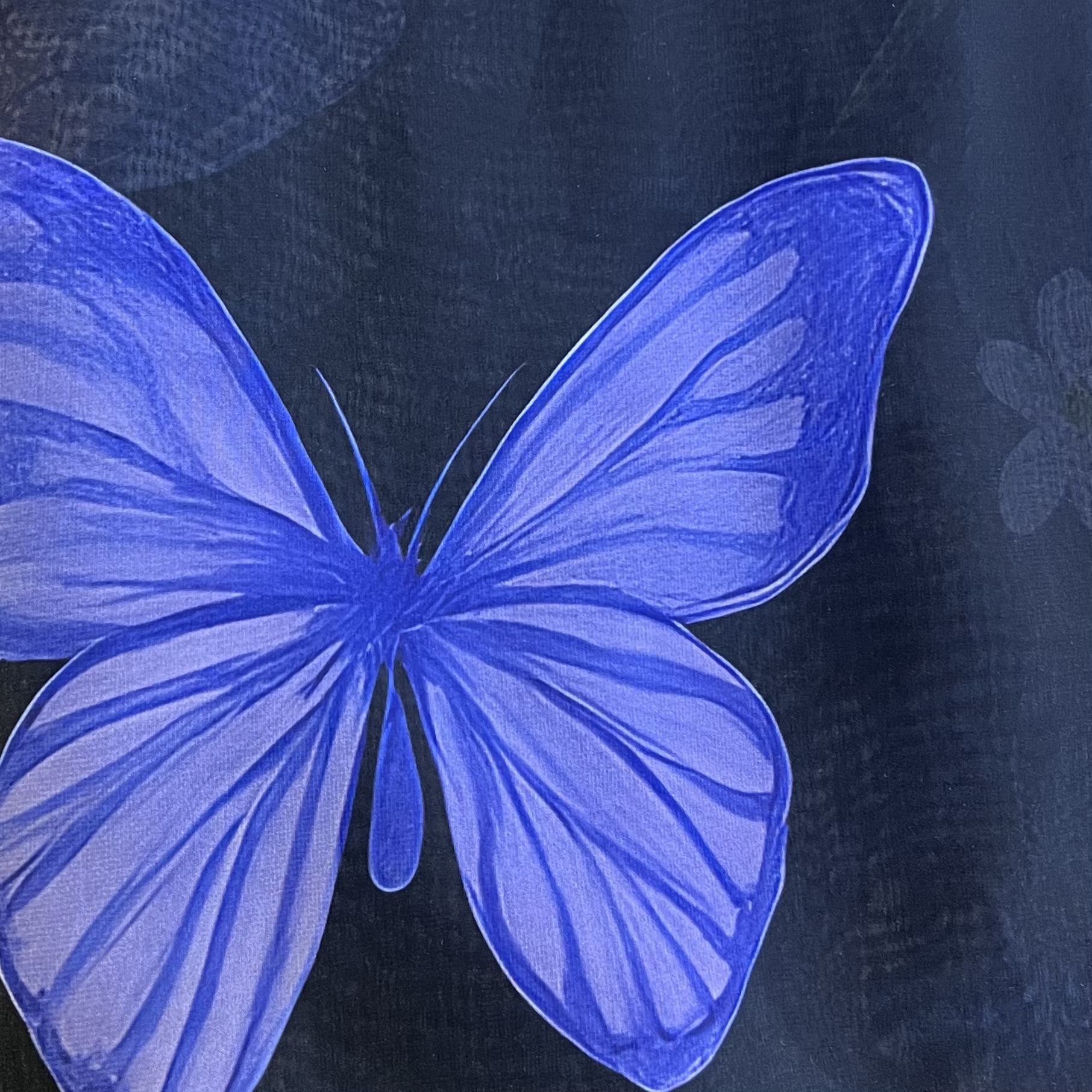 Color: Black/Purple-Pink Butterflies