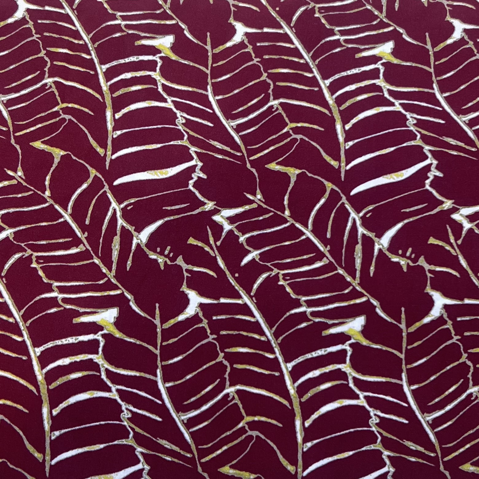 Color: Dark Red/Yellow-White Leaves