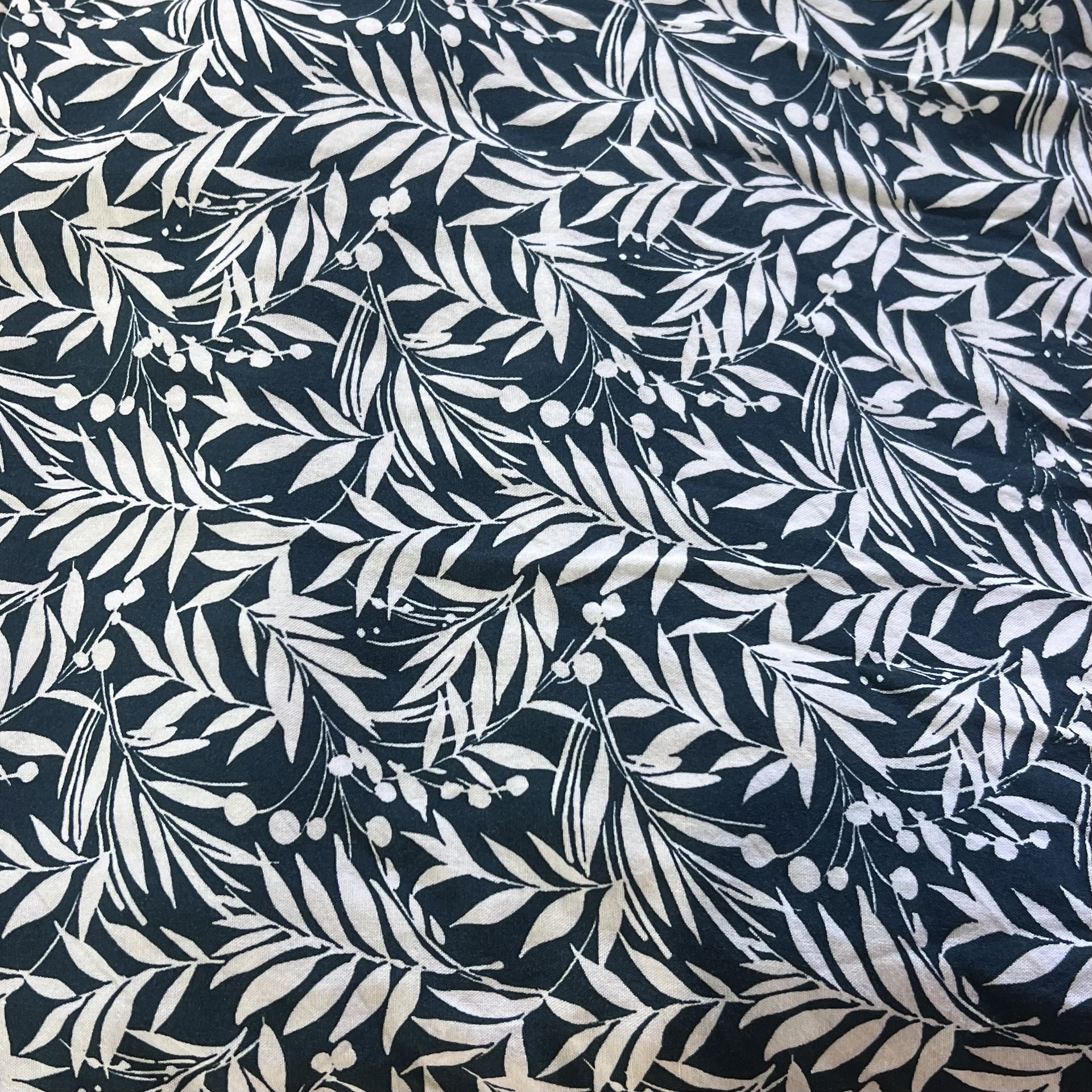 Color: Dark Green/White Leaves