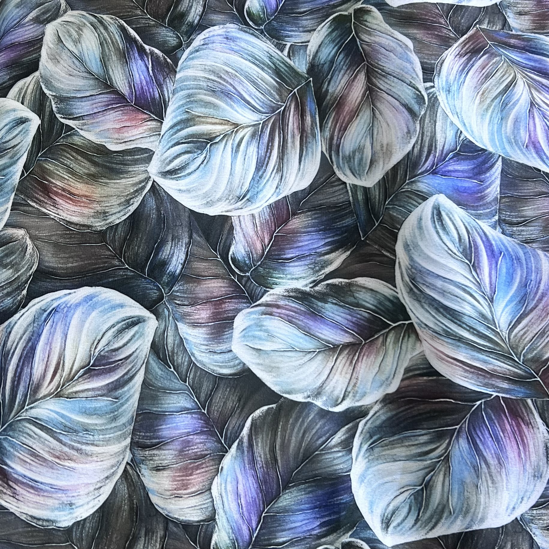 Color: Blue/Purple-White Leaves