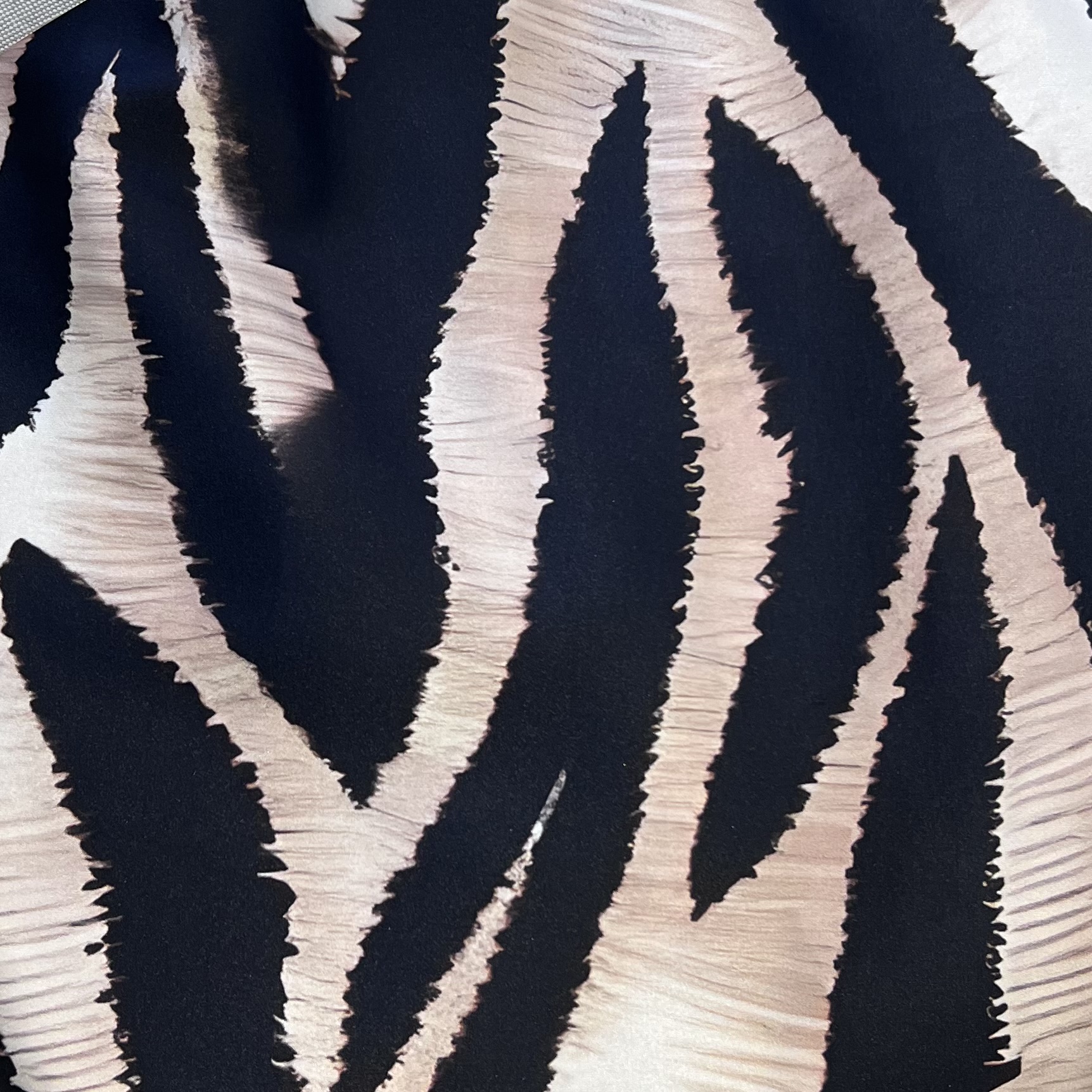 Color: Black/Brown/White Big Zebra