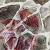 Color: Burgundy/Brown Leaves