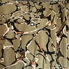 Color: Olive Green/Black-Brown Branches