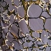 Color: Dark Gray/Black-Brown Branches