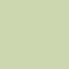 Color: Champagne Green
