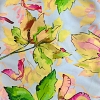 Color: Light Blue/Green-Pink Leaves